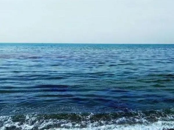 日本核廢水將排海-影響何以估量？